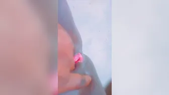 Jolie chatte à regarder